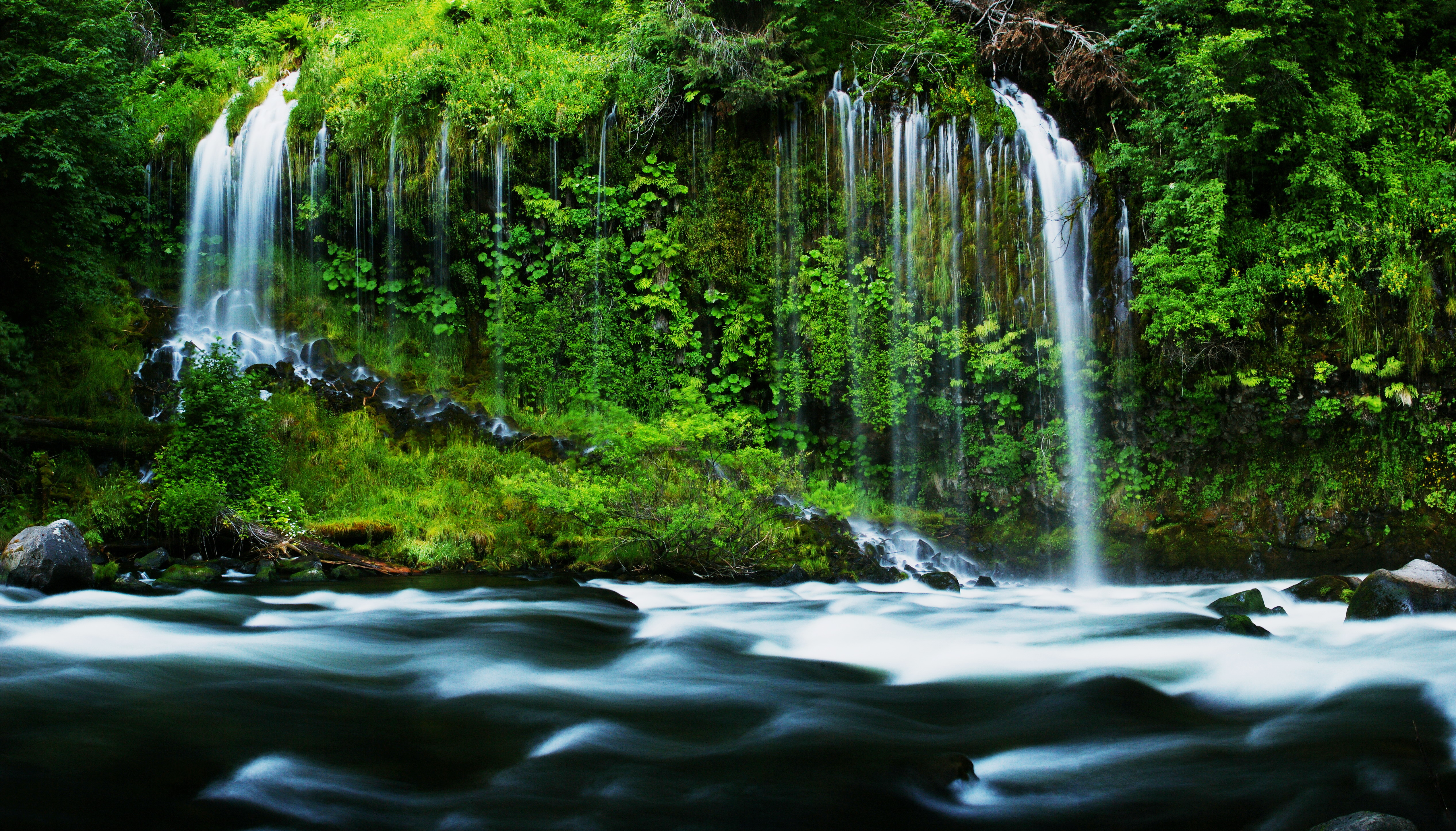 природа водопад деревья вода Бразилия загрузить